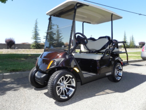 Yamaha Drive2, Rich Brown Metallic color