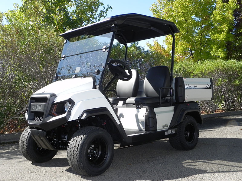 2019 Yamaha UMAX 1 EFI (Gas) Gilchrist Golf Cars