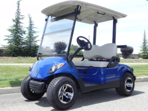 Reconditioned 2016 Yamaha Drive AC