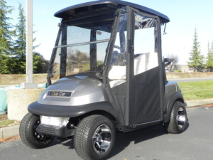 Golf Cart Hinged Door Enclosure