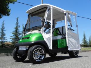 Golf Cart Hinged Door Enclosure