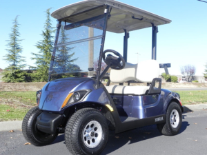 2020 Yamaha Drive2 AC PTV