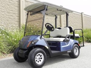 2020 Yamaha Drive2 AC , Bluestone