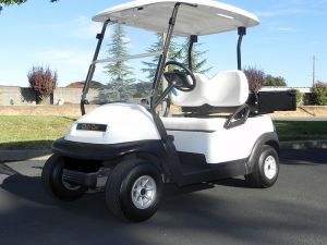 2009 Club Car Precedent