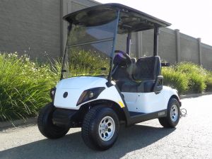 2020 Yamaha Drive2 AC PTV