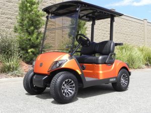 2021 Yamaha Drive2 AC PTV