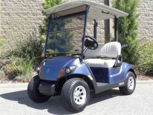 2021 Yamaha Drive2 AC PTV