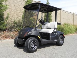 2021 Yamaha Drive2 AC PTV