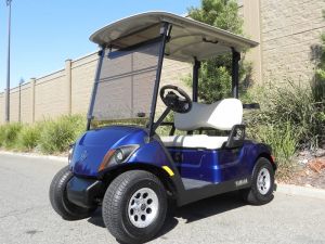 2021 Yamaha Drive2 AC PTV