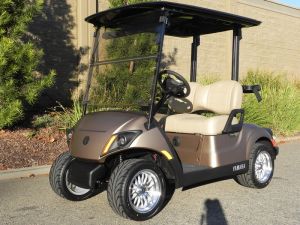 2021 Yamaha Drive2 AC PTV