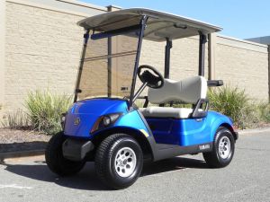 2021 Yamaha Drive2 AC PTV