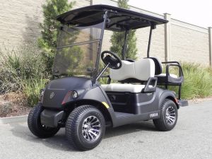 2021 Yamaha Drive2 AC PTV