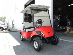 2021 Yamaha Drive2 AC PTV