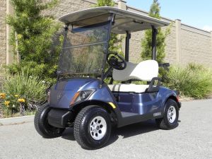 2021 Yamaha Drive2 AC PTV