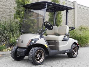 2021 Yamaha Drive2 AC PTV