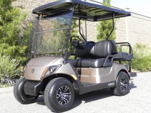 2021 Yamaha Drive2 AC PTV