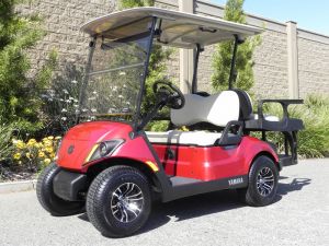 2021 Yamaha Drive2 AC PTV