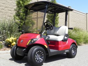 2021 Yamaha Drive2 AC PTV