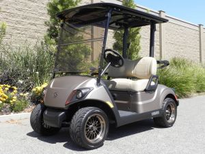 2021 Yamaha Drive2 AC PTV