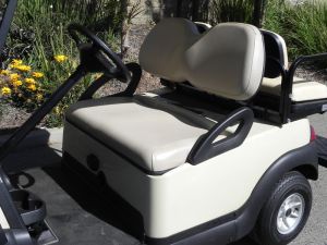 2010 Club Car Precedent