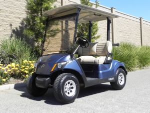 2019 Yamaha Drive2 AC