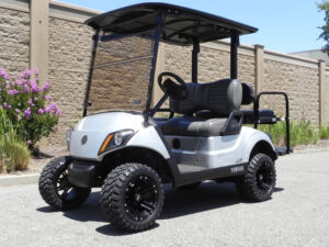 2019 Yamaha Drive2 AC - Lifted