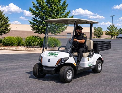 Monthly Golf Cart Rentals for Business